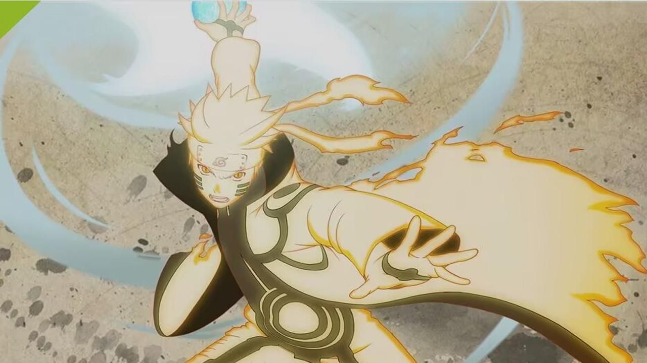 Flexible for different ninja types