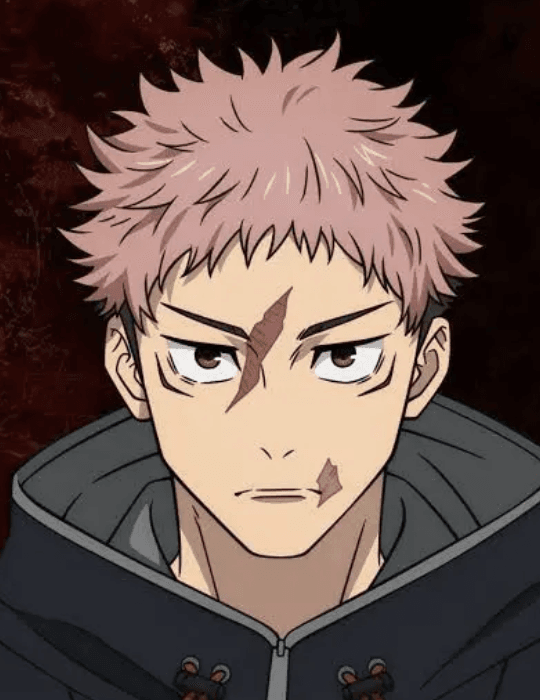 Jujutsu Kaisen OC Maker workflow step showing insignia details before jujutsu kaisen concept passes